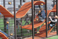 Bottom price Outdoor Children Playground Mould -
 PI-WC04 – Playidea