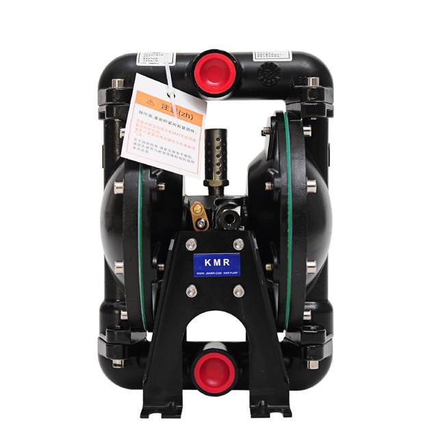 OEM Manufacturer Aodd Ink Pump - Air powered diaphragm pump 666120-344-C – Kaimengrui