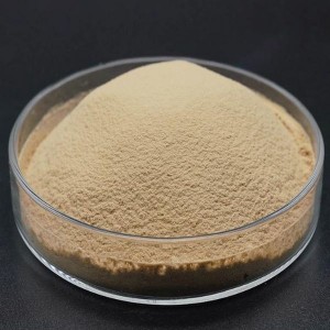 Yeast powder 50%