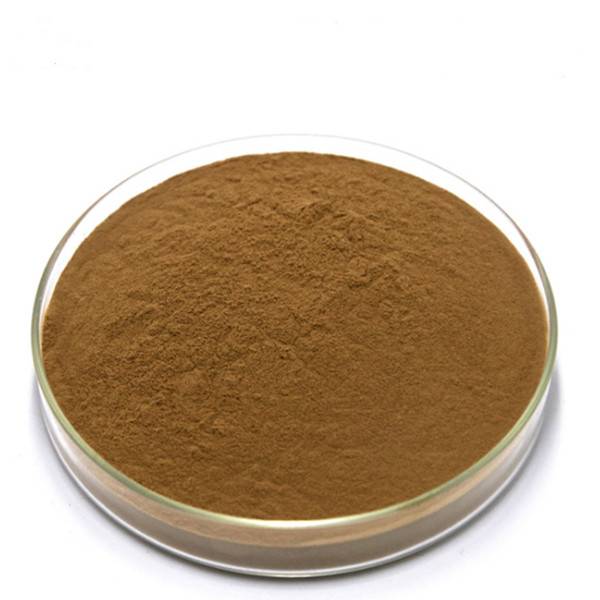 Bulbine Natalensis Extract Featured Image