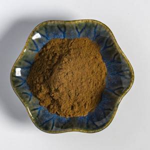Echinacea Purpurea Extract (Polyphenols 4% / 10%)