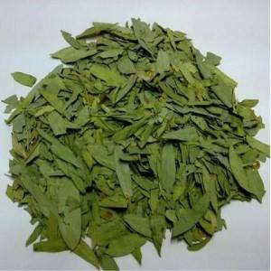 Eucommia ulmoides leaf extract