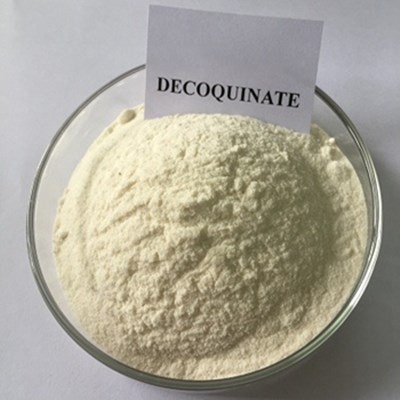 Decoquinate , a new type highly-efficienct quinolones anti-coccidiosis