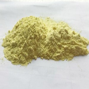 Radix Scutellariae Extract