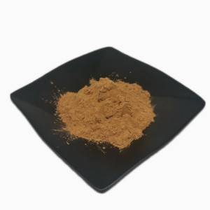 Lotus leaf Extract (Nuciferine 2% / 98%)