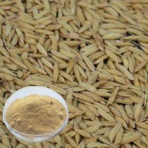 Rice Bran Ground Fine Powder