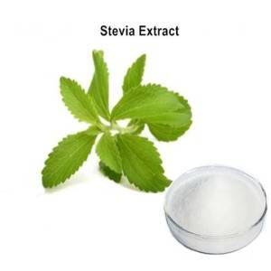 Stevia Powder Vegan