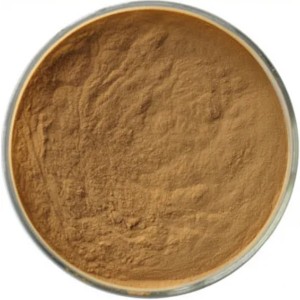 Caribbean pine extract powder