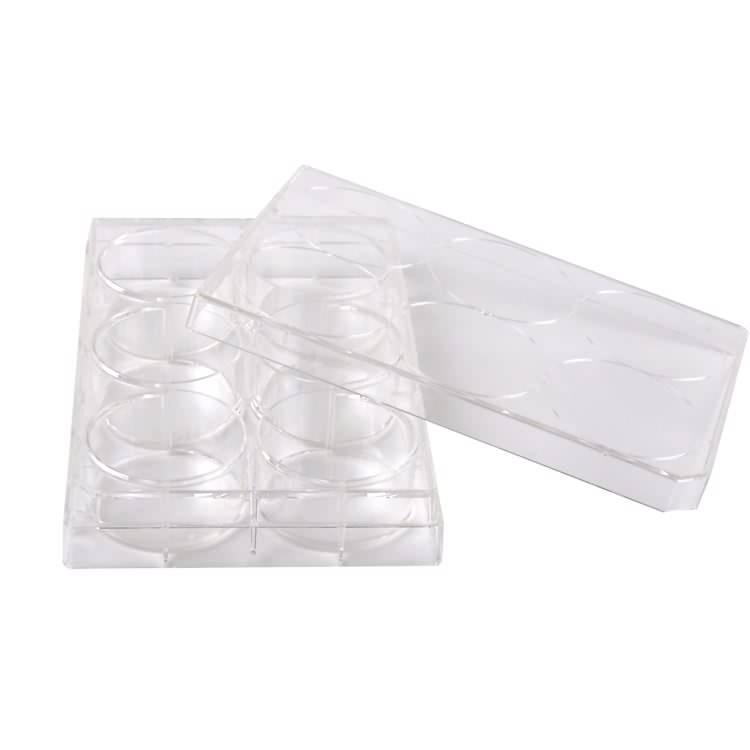 Medical lab plastic sterile 6 well tissue cell culture plate manufacturer