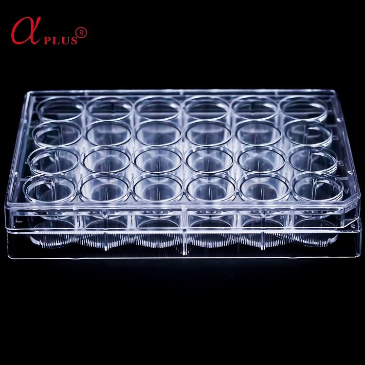Good User Reputation for U-Bottom 96 Well Cell Culture Plate - Medical lab plastic 24 wells disposable sterile cell culture plate – Ama