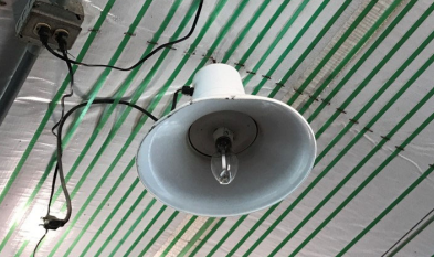 Breeder House Lighting System Retrofit