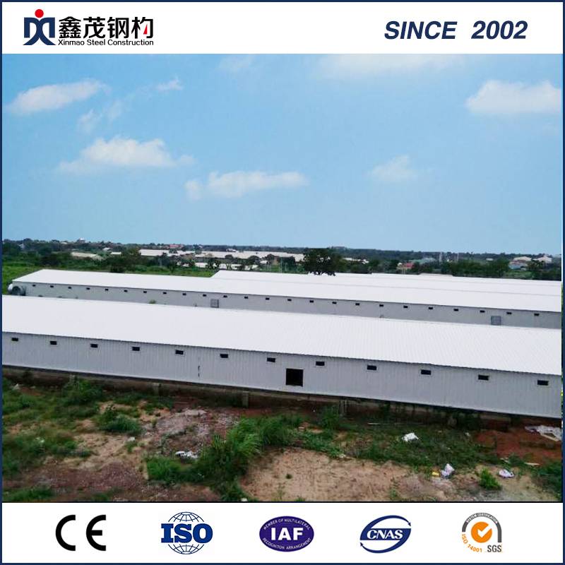Steel Frame Easy Install Poultry House with ISO Certificate