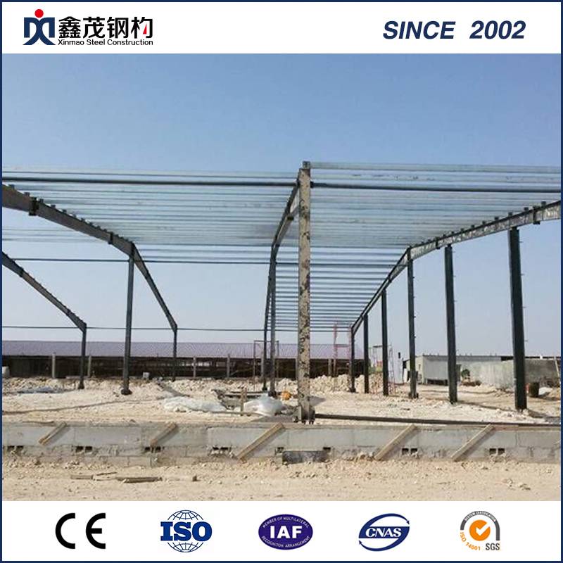 Steel Poultry House with H Section Steel Frame in High Strengthen