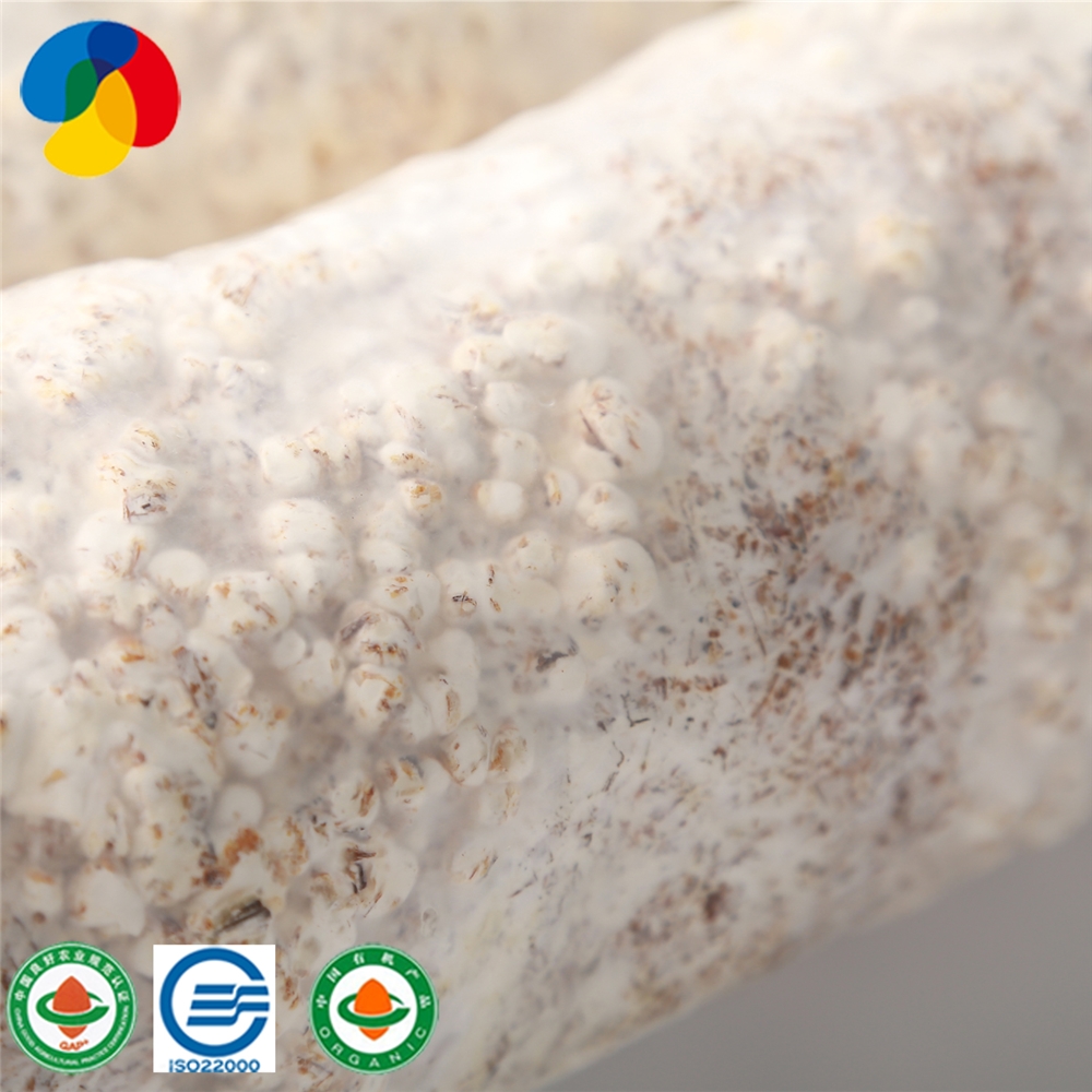 Manufacturer ofBulk Sale King Oyster Mushroom Compost - High Yield Mushroom bags how to make shiitake mushroom spawn with high quality – Qihe