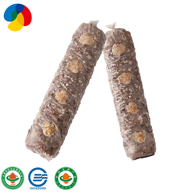 China OEM Organic King Oyster Mushroom Substrate - ISO22000 fruiting neatly shiitake mushroom spawn grow bags – Qihe