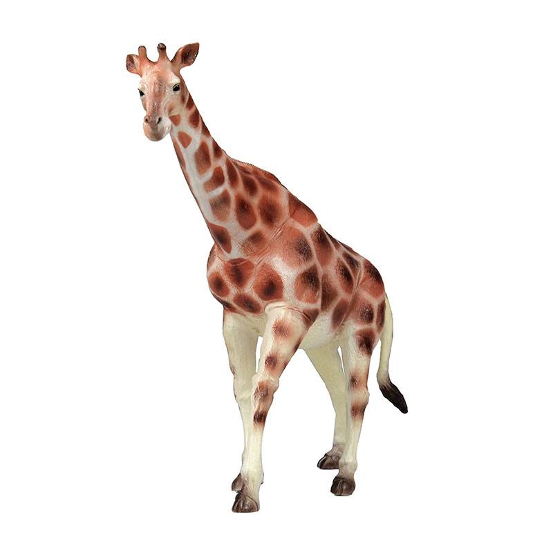 Giraffa camelopardalis Featured Image