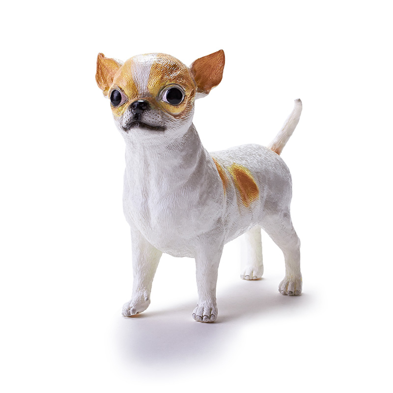 Chihuahua Featured Image