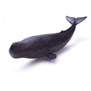 Ocean Series-Sperm whale