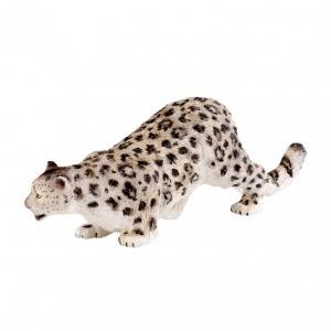 Male Snow leopard