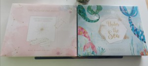 Stationey set in gift box(notebook,tape,sticker,clip)