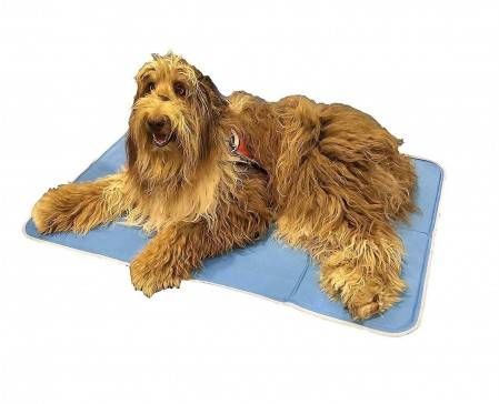 Dog Bed cooling Mat Soft Crate Mat with Anti-Slip Bottom Pet Mattress for Dog Sleeping
