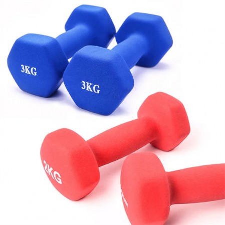 Wholesale weights lifting fitness equipment cheap gym dumbbell set