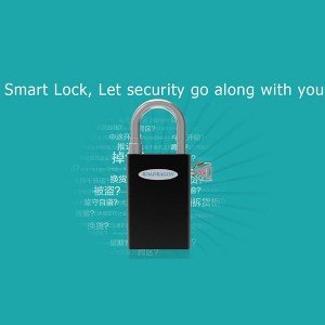 Lock and deadbolt set padlock system with NFC and FRID solution
