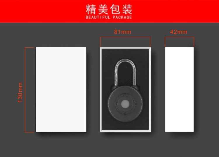 Factory Cheap Merchant Shipping Services Pvt Ltd Container Tracking - Smart Bluetooth Padlock for iOS Devices Androit Keyless Electronics Lock – Dragon Bridge