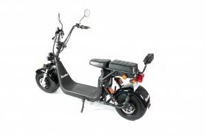 EEC & COC citycoco electric scooter ☆R36CP1000JA000002☆ with removable battery