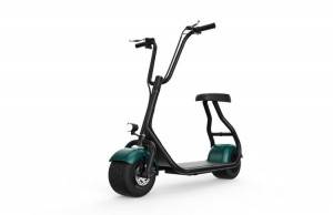 city scooter mini model with 48v lithium ion battery 10 inch fat tire 30km/h max speed from Rooder electric scooter motorcycle manufacturer supplier factory