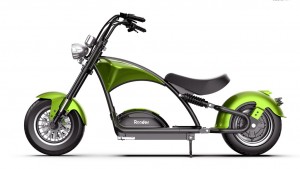 Mangosteen Technology Co limited 2022 new citycoco chopper