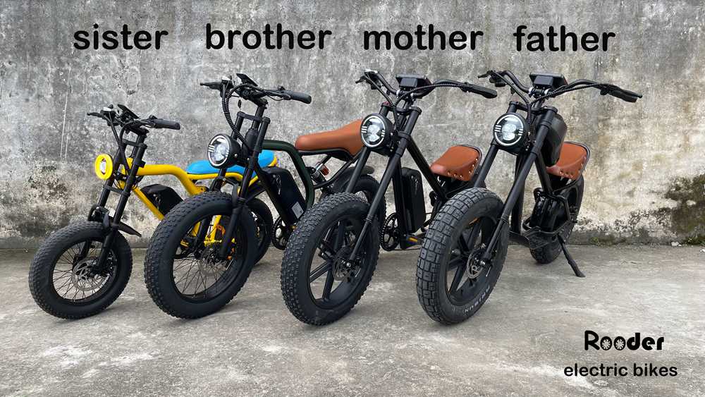 Rooder electric chopper bikes 2023 wholesale price