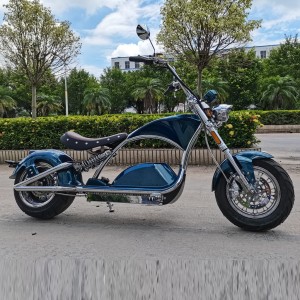 Rooder mangosteen m1ps electric motorcycle 4000w 80kmph