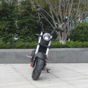citycoco electric scooter Rooder r804-c1