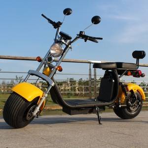 EEC harley citycoco electric scooter with double removable battery