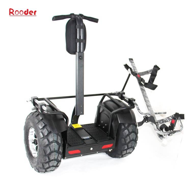 2 wheel self balance scooter with removable battery hot sale in alibaba Featured Image