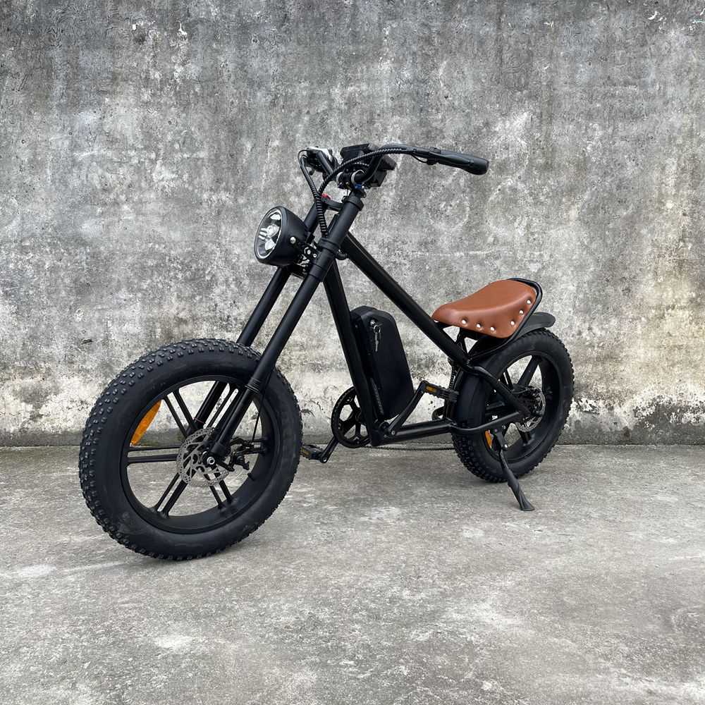 cb01a Rooder electric bicycle wholesale price Featured Image