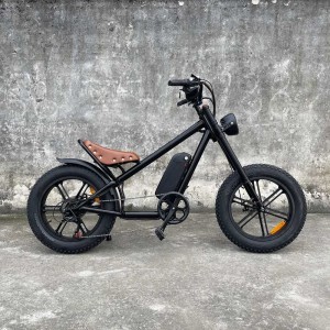 cb01a Rooder electric bicycle wholesale price