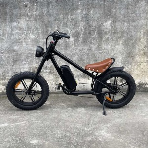 cb01a Rooder electric bicycle wholesale price