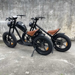 cb01b Rooder fat tire electric bike 48v 1000w 40ah wholesale price