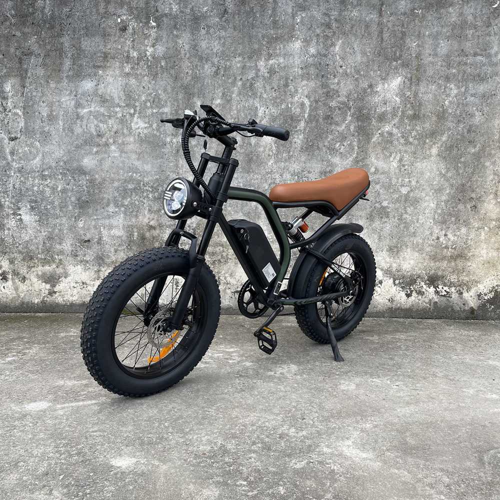 cb02 Rooder fat tire ebike for adults wholesale price Featured Image