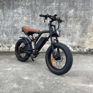cb02 Rooder fat tire ebike for adults wholesale price