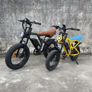 cb02 Rooder fat tire ebike for adults wholesale price
