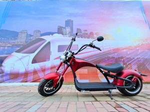 city coco m1p electric scooter 2000w 30ah