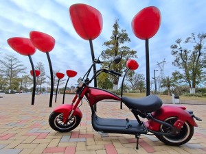 city coco m1p electric scooter 2000w 30ah