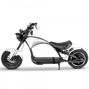 citycoco m1p Rooder road legal electric scooter for sale