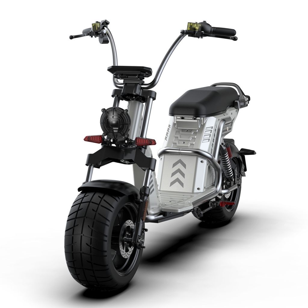 citycoco scooter echopper Rooder larsky 4000w Featured Image