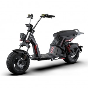 citycoco scooter echopper Rooder larsky 4000w