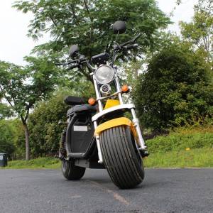 EEC harley citycoco electric scooter with double removable battery