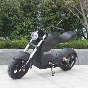 citycoco electric scooter Rooder r804-c1